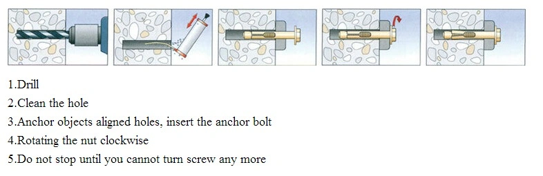 4.8class Steel Anchor Bolt Hot DIP Galvanizing Expanding Bolt M10 M8 Concrete Anchor